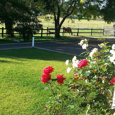 Appin Homestay B & B - Kempsey Accommodation 3