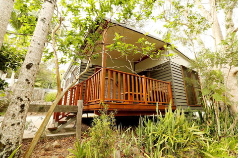 Mt Warning Rainforest Park - Kempsey Accommodation 1