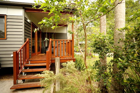 Mt Warning Rainforest Park - Kempsey Accommodation 0