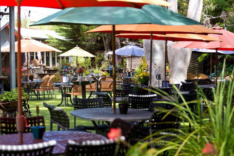 Oakdene Vineyards Guesthouse - Kempsey Accommodation 0