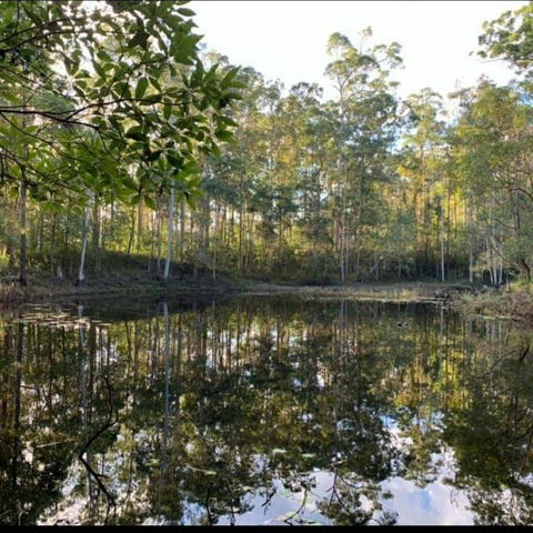 Oakey Creek Country Retreat Kenilworth - Kempsey Accommodation 2