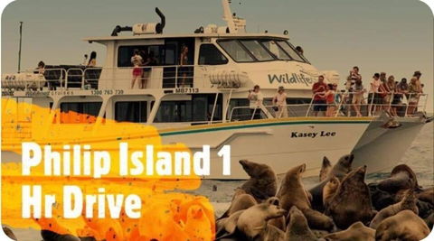 On The Edge Of Mornington Peninsula 4 BR House - Kempsey Accommodation 2