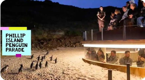 On The Edge Of Mornington Peninsula 4 BR House - Kempsey Accommodation 3