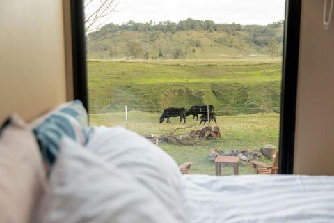On The Rocks By Tiny Away - Kempsey Accommodation 2