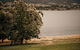 Otago Cottage - thumb 3
