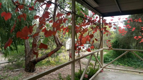 Padthaway Caravan Park - Kempsey Accommodation 1