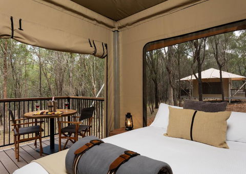 Paradise Country Farmstay - Kempsey Accommodation 2