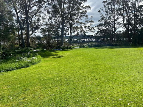 Peacock - Kempsey Accommodation 0