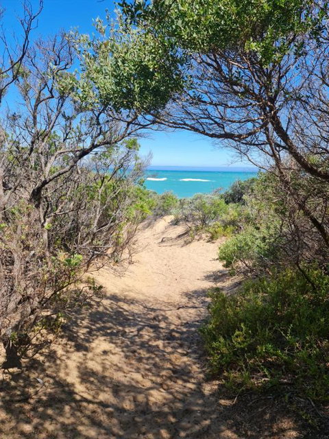 PIECE OF PARADISE, Huge 4 Bedroom Haven - Kempsey Accommodation 0