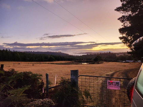 Pine Edge Heights By Tiny Away - Kempsey Accommodation 2