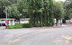 Pinewood Caravan Park - thumb 3
