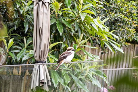 Quaint Queen Room - Central Location At Pymble - Shared Bathroom - Kempsey Accommodation 1