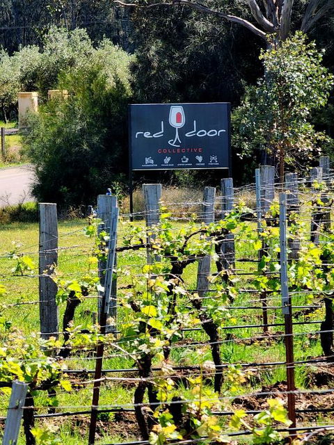 Red Door Collective - RDC Vineyard Estate, Luxury Adult Only Stay - Kempsey Accommodation 1