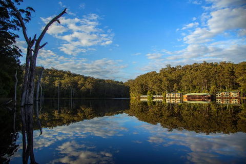 RAC Karri Valley Resort - Kempsey Accommodation 3