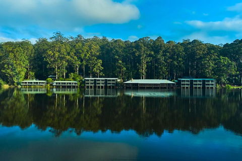 RAC Karri Valley Resort - Kempsey Accommodation 2