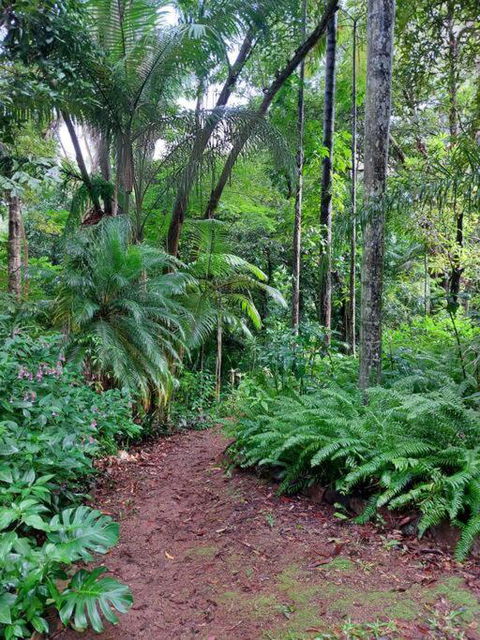 Rainforest Retreat-Fireplace-BBQ-3 Acres- - Kempsey Accommodation 0