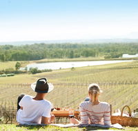 Audrey Wilkinson Vineyard - Kempsey Accommodation