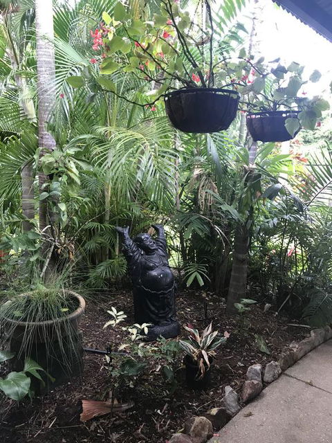Bali Inspired Hideaway With Tropical Villa & Plunge Pool - Kempsey Accommodation 3