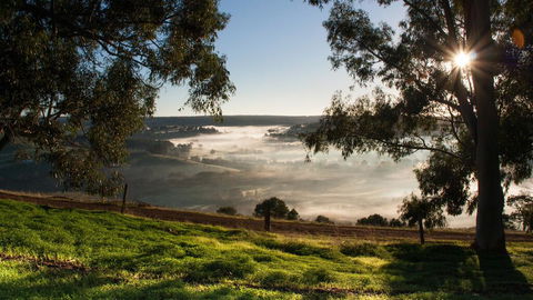 Balingup Heights Hilltop Forest Cottages - Kempsey Accommodation 0