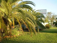 Book Winton Accommodation Vacations Kempsey Accommodation Kempsey Accommodation