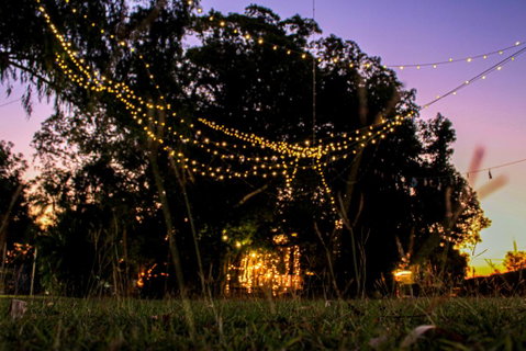 Banyan Tree - Kempsey Accommodation 0