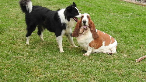 Barklysuites Apartments - Kempsey Accommodation 2