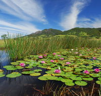 Barrington Hideaway- River Cottages - Kempsey Accommodation