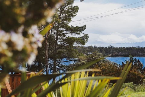 Beach House 'Aisling' - Kempsey Accommodation 2