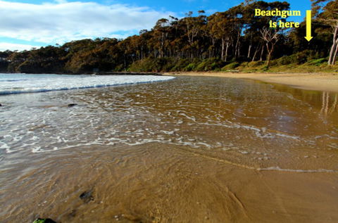 Beachgum - Kempsey Accommodation 2