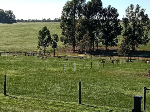 Redtail Ridge Cottages - Kempsey Accommodation 1