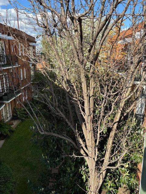 Regents Gate East Melbourne - Kempsey Accommodation 1