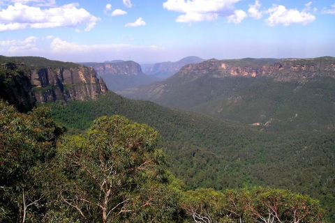 Ribbon Gum Lodge - Kempsey Accommodation 1