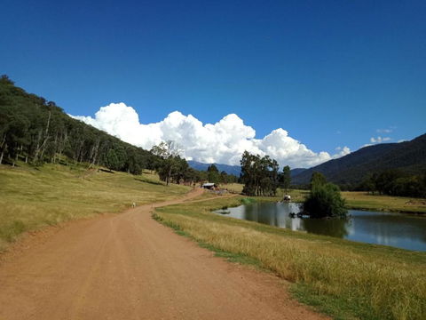 Riverbend Homestead - Kempsey Accommodation 2