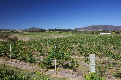 Riversdale Estate Cottages - Kempsey Accommodation 1