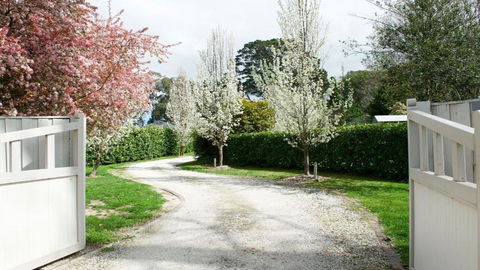 Robin Hill Manor - Kempsey Accommodation 2