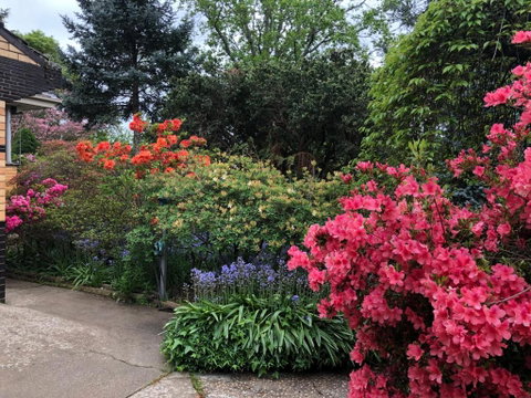 Rosettas Garden Guesthouse King Valley - Kempsey Accommodation 3