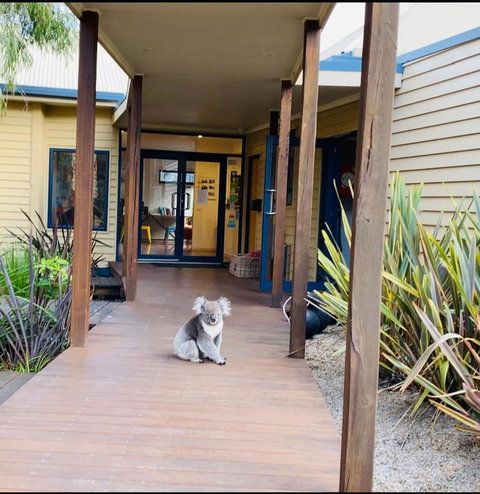 Sandpiper Motel Apollo Bay - Kempsey Accommodation 3