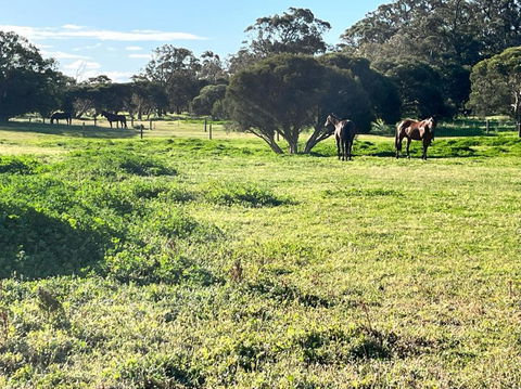 Secluded Rural Retreat In Southwest WA - Kempsey Accommodation 3