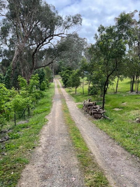 Spacious 4 Bed, 2 Lounge, 2 Bath, Acre Home With Tree Top Views - Yarra Valley Gateway! - Kempsey Accommodation 0