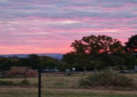 Sunset Retreat By Tiny Away - Kempsey Accommodation 2