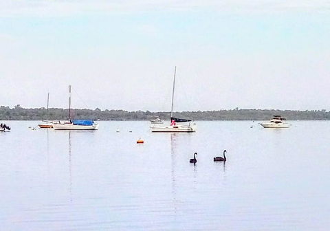 Beautiful, Peaceful Estuary Views, Five Star Quantity - Kempsey Accommodation 3
