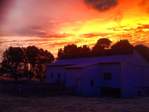 Beggs Farmstay B&B - Kempsey Accommodation 1