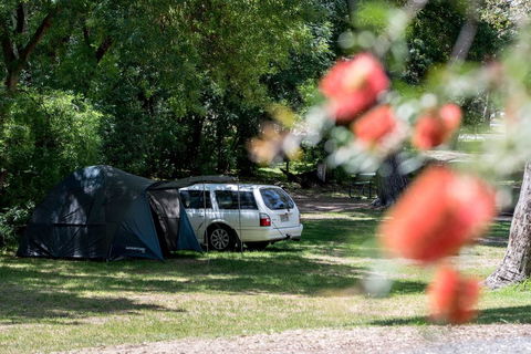 Belair National Park Holiday Park - Kempsey Accommodation 0
