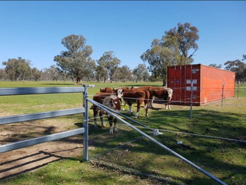 Big Tiny Jindera Park - Kempsey Accommodation 2