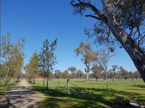 Big Tiny Jindera Park - Kempsey Accommodation 3