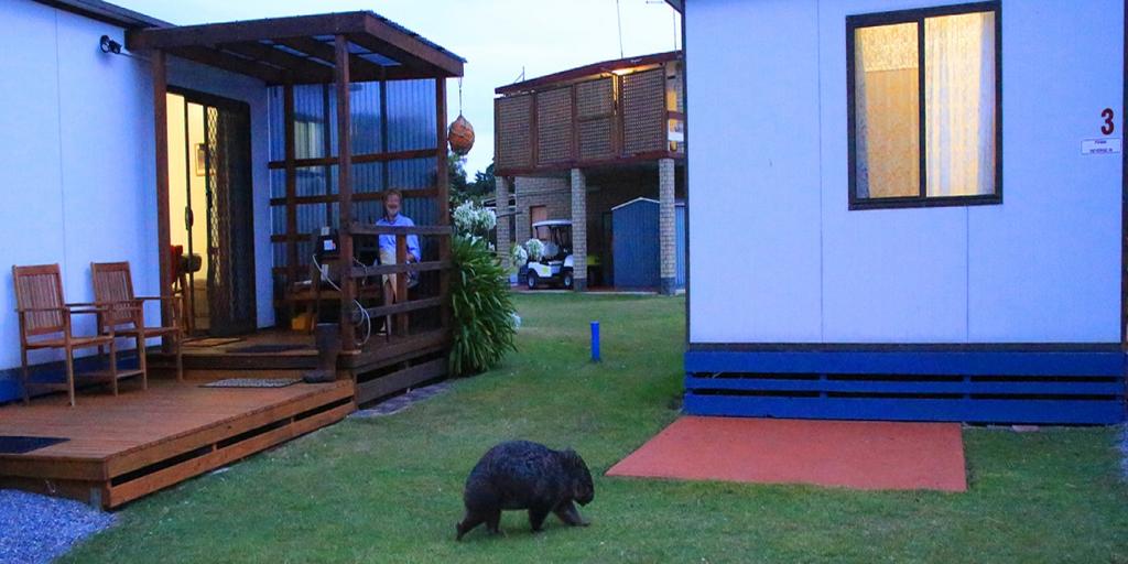 Kelso TAS Kempsey Accommodation