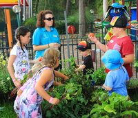 Book Lemon Tree Passage Accommodation Vacations Kempsey Accommodation Kempsey Accommodation