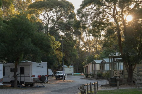 BIG4 Seymour Holiday Park - Kempsey Accommodation 0