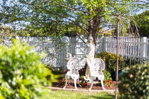 BIRCHES B&B - Kempsey Accommodation 2