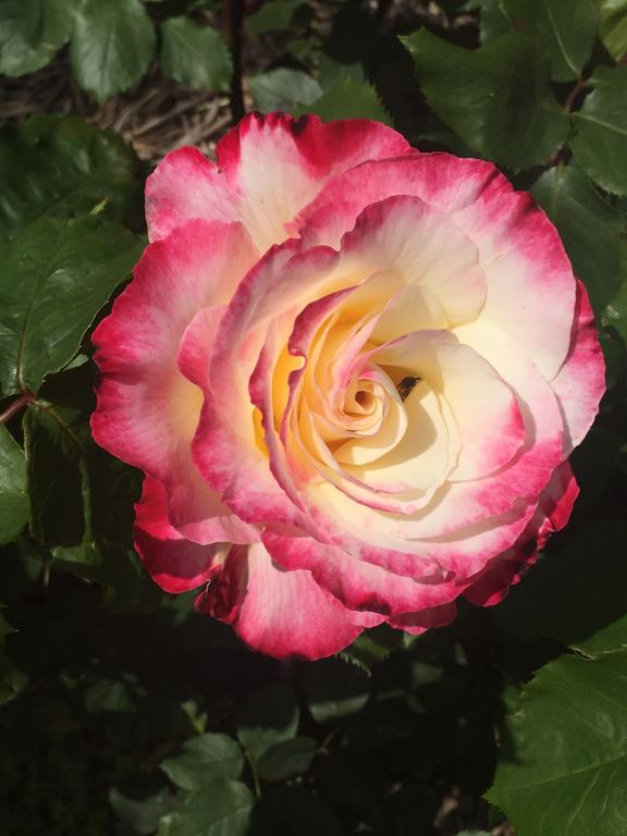 Gobur VIC Kempsey Accommodation